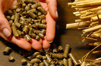 free Stoborough Green biomass boiler quotes